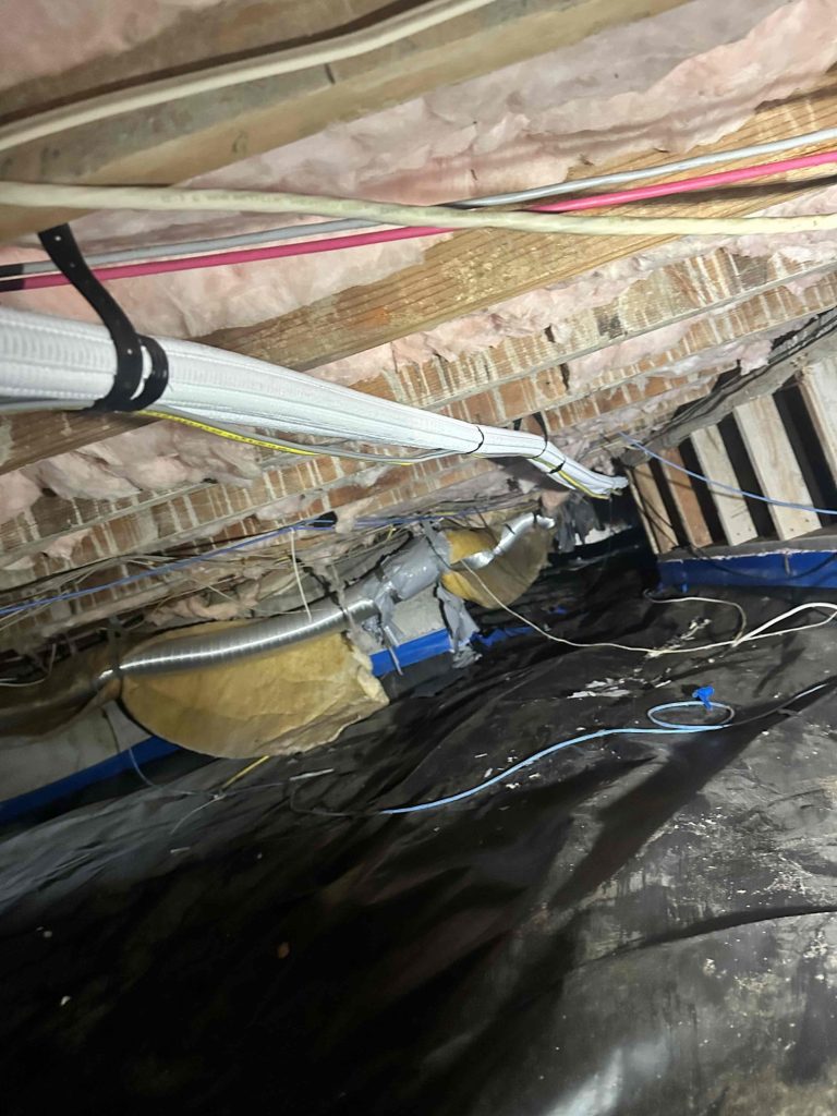 View of Lineset Run in Crawl