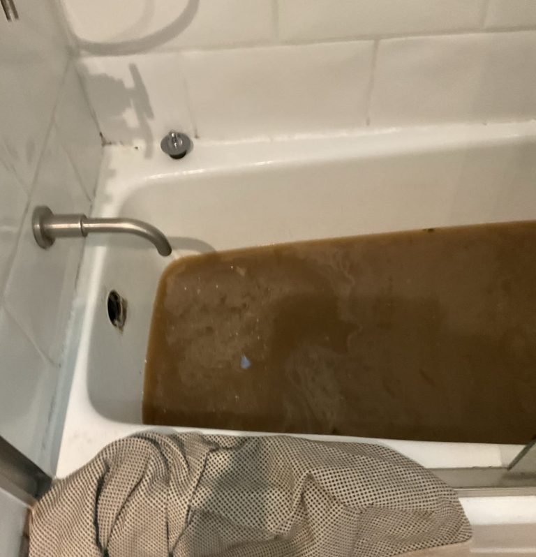 Bathtub clogged by hair full sewage overspill drain Santa Cruz