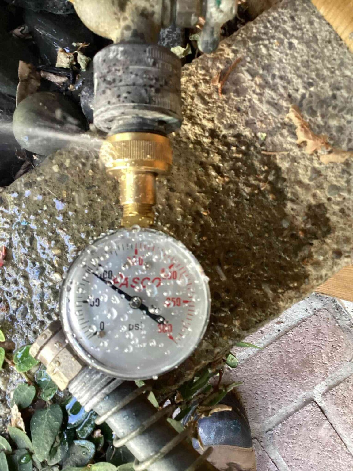 Plumber repairing a water pipe leak in a Marin County crawl space — Bellows Plumbing